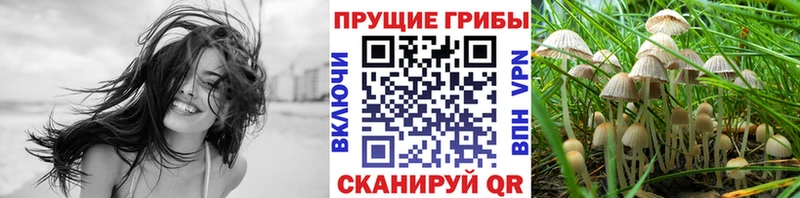Галлюциногенные грибы мухоморы  купить  цена  Мамоново 